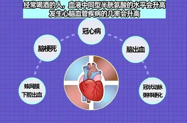 维兰尼健康科普:同型半胱氨酸高的原因及解决方法?