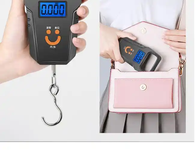50kg手提秤便携式电子秤高精准迷你钓鱼弹簧钩称快递称重称