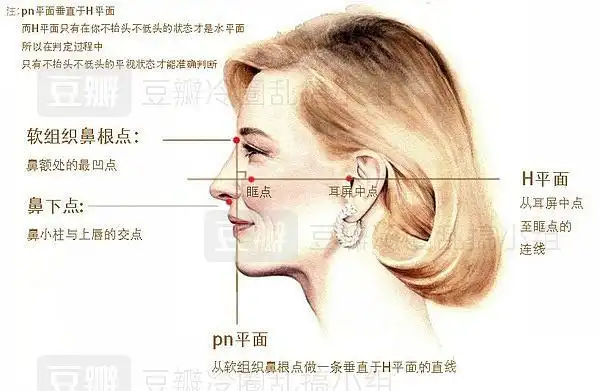 直面型 男性化的面型,这种面型长在男人身上很受欢迎,长在女人身上