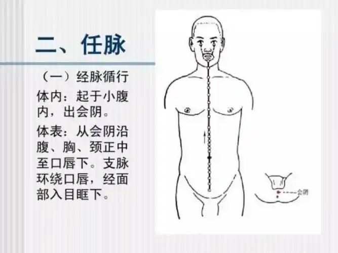 打通任督二脉,这些病都好了