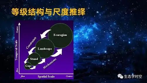 土地利用覆被变化的概念景观生态学041生态学尺度概念复旦赵斌教授