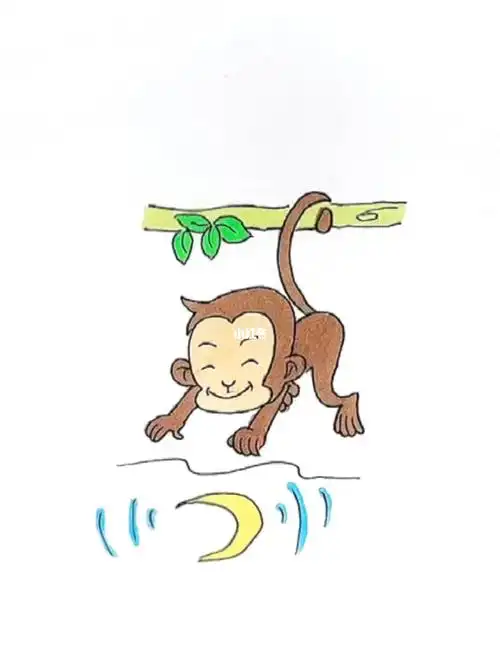 水中捞月…终究是错付了…#绘画  #简笔画  #猴子捞月  #猴子