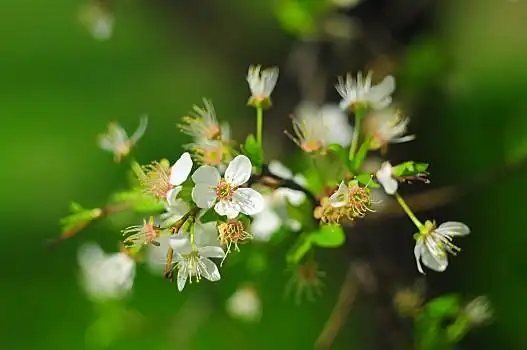 春天图片_春天图片大全_春天图片素材