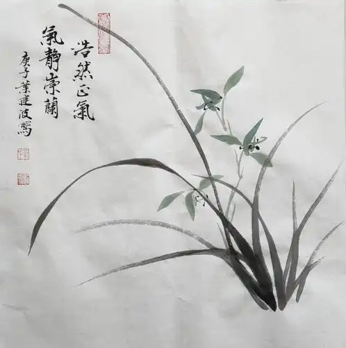 气静崇兰——书画家叶建波小品兰花欣赏