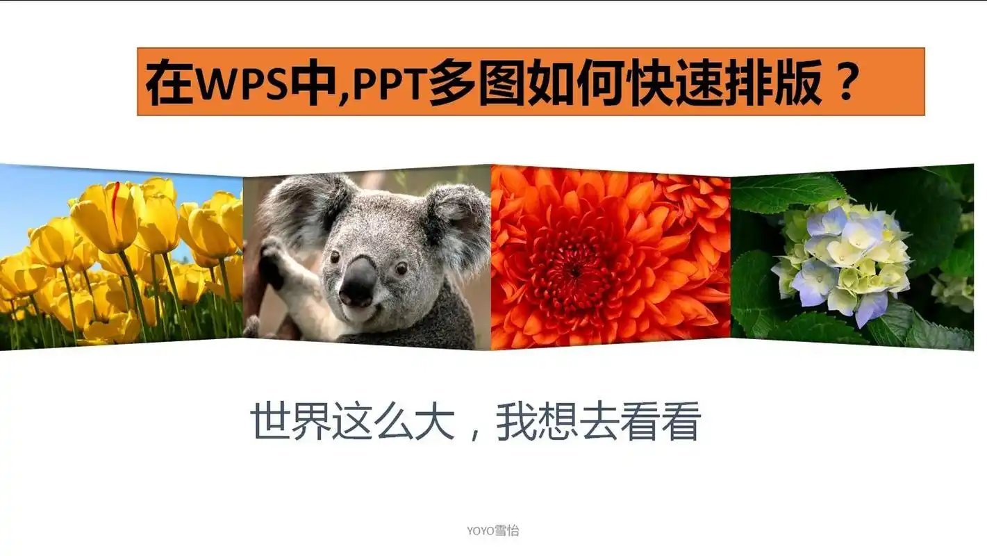 在wps中,ppt多图如何快速排版?