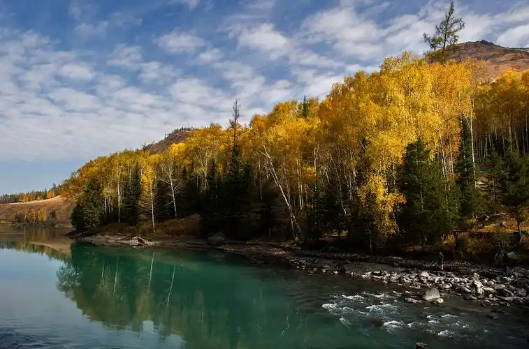 喀纳斯秋色【一】