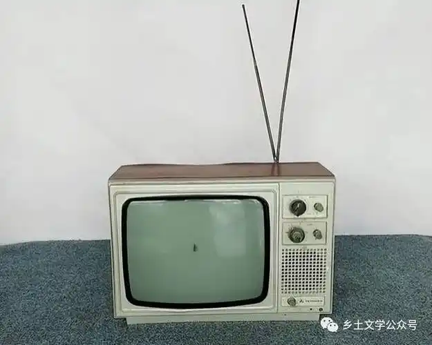 怀旧散文第一台黑白电视机新民村往事之四