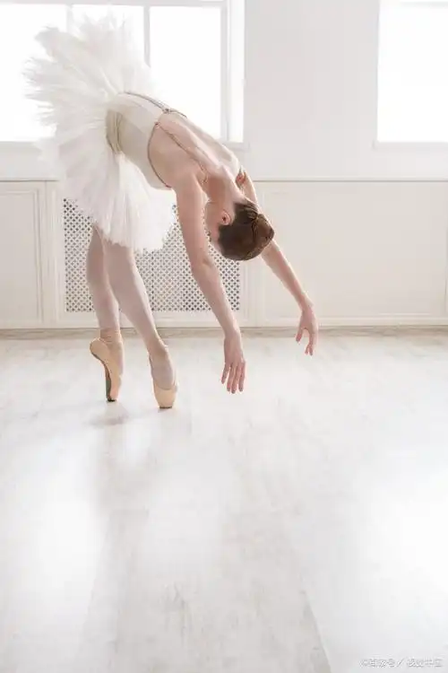 芭蕾舞,作为一种古老而高雅的舞蹈形式,以其优美的动作和独特的艺术