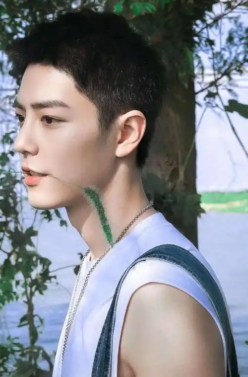 肖战:用2个数据证明顶流价值,汪海林说胡话,或与王一博再同台_大陆