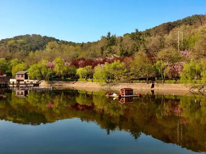 青岛·北岭山森林公园