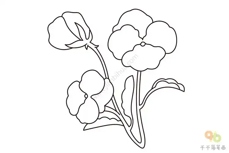 三色堇简笔画简单
