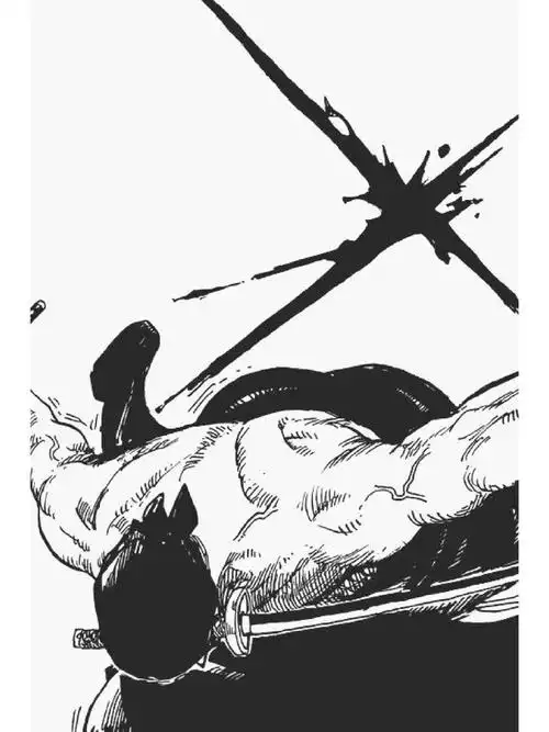 海贼王一些索隆黑白原漫