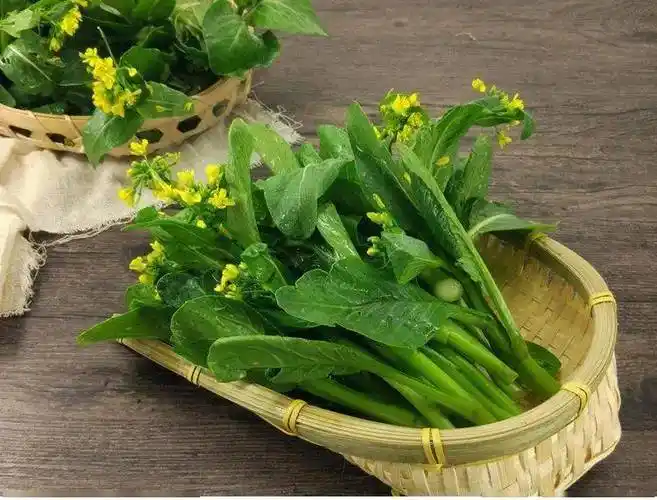 这7种常见又营养的美味绿叶菜,每天换着吃,营养更丰富哦~_蔬菜_芹菜