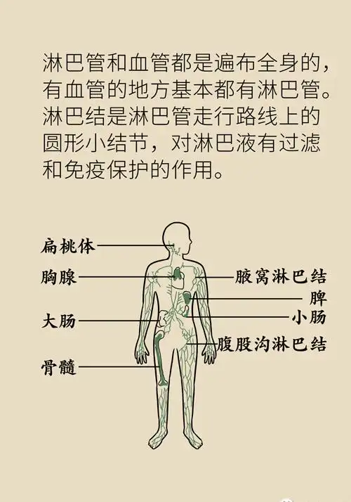 下肢淋巴水肿要当心为什么妇科恶性肿瘤术后会出现这种并发症