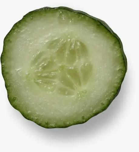 切开的黄瓜剖面实物