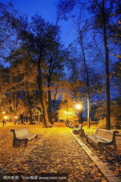 美丽的秋夜城市公园.