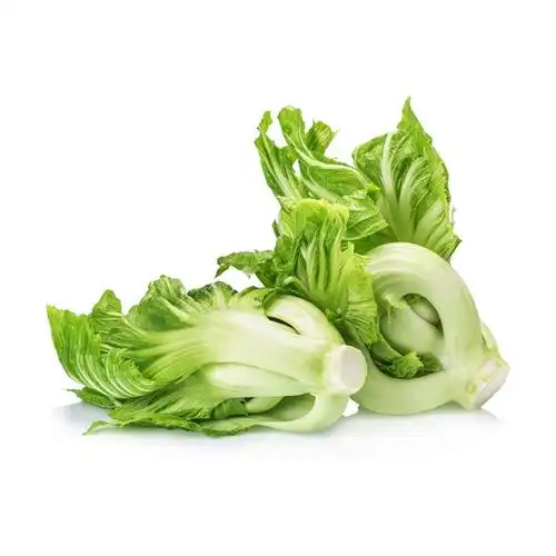 商品详情 - 新鲜小芥菜 2磅 - image  0