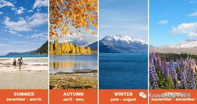 为何留学新西兰?(概况篇)