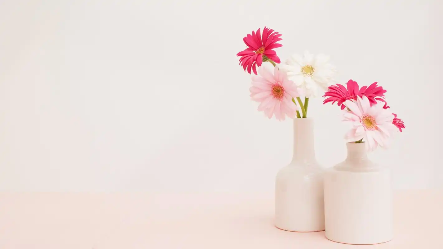 小清新盆栽唯美清爽高清桌面壁纸