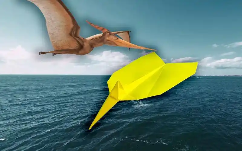 超帅头冠!无齿翼龙仿生纸飞机