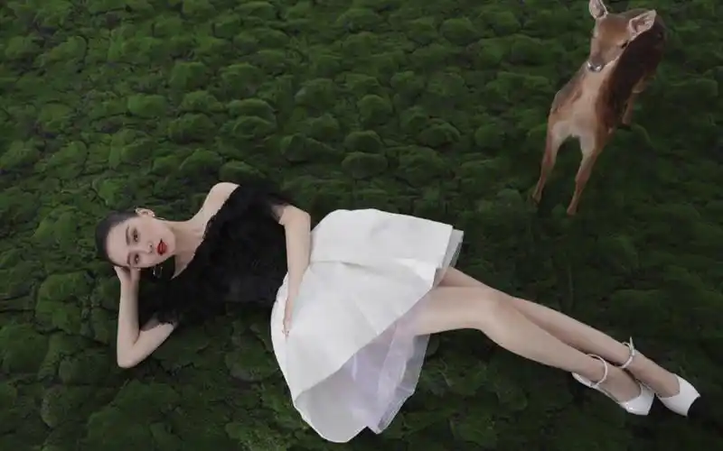 刘诗诗超美写真桌面壁纸