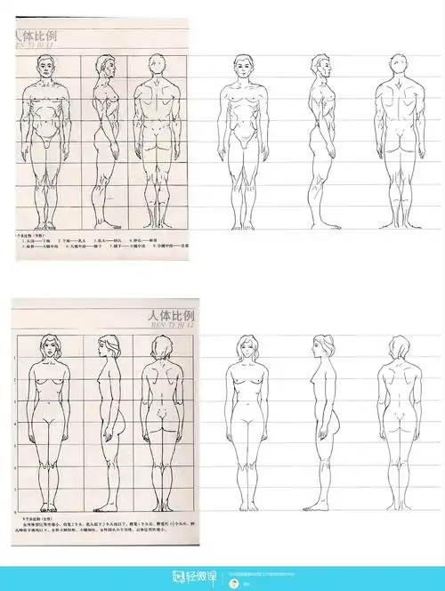 古风插画之人体比例