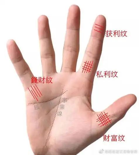 看手相上的9大财富纹 手相中的财富纹