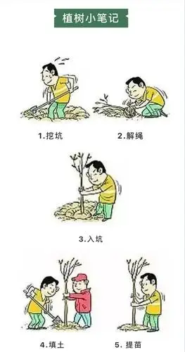 植树踏青春游时节好去处