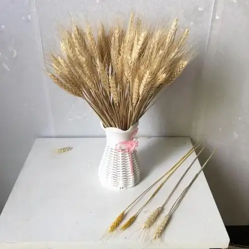 迎新必备天然麦穗干花花束开业大麦客厅田园装饰摆件瓶插花真花干艺术
