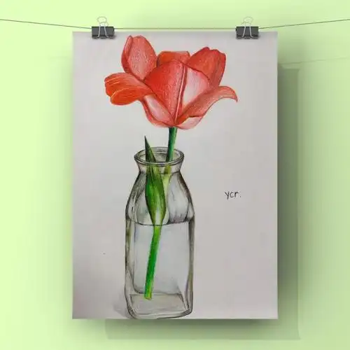 彩铅画彩铅初级彩铅入门