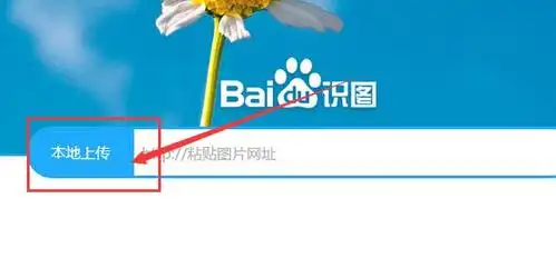 2,点击从本地上传需要识别的图片,即可以出现类似图片的识别结果.