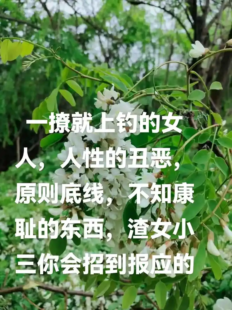 渣女小三如果在毁掉我的家庭能渣女小三你怎么很很
