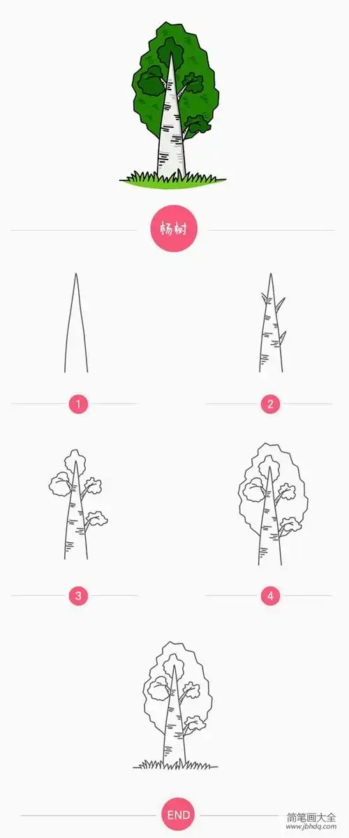 杨树简笔画画法