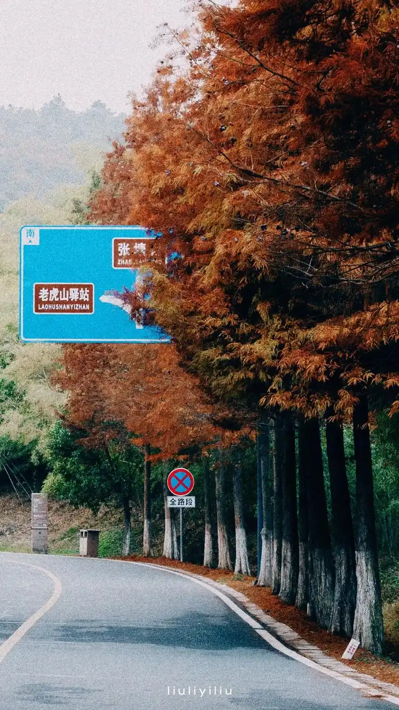 无想山的秋.#治愈系风景 #秋天 #摄影 #南京#天生溧水何 - 抖音