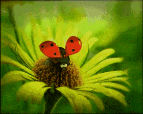 伸伸胳膊踢踢腿,展展翅膀咂咂嘴.