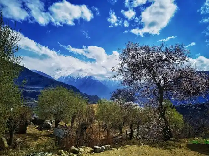西藏米林县索松村