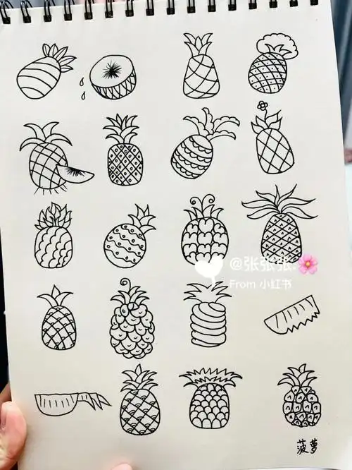 简笔画菠萝