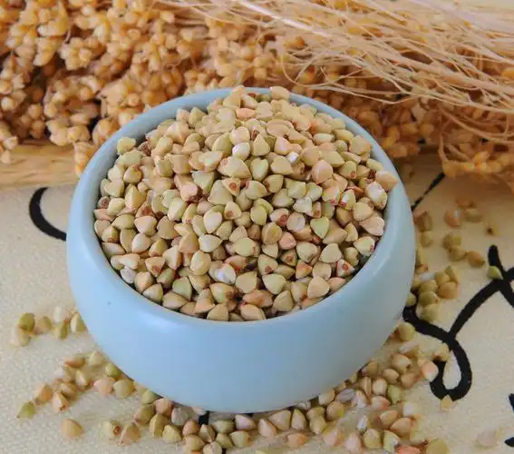 苦荞的功效和作用(长期服用苦荞的危害)