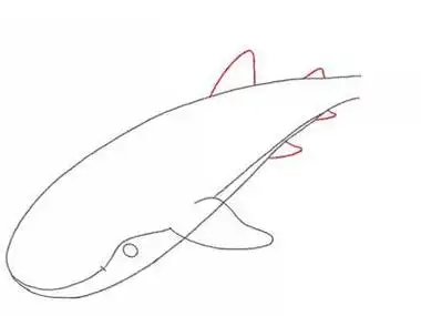 鲸鲨是鲨鱼的一种,它多以凶猛著称,但是今天我要教大家的简笔画教程是