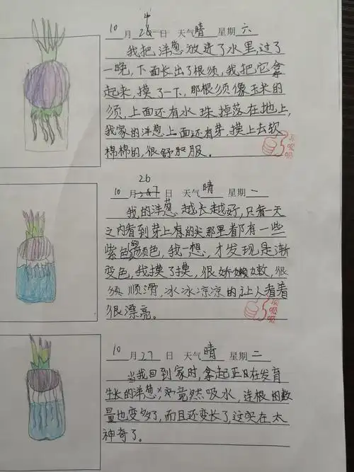 优秀观察记录表