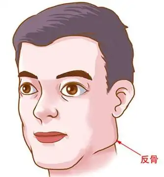 那么反骨在面相中的位置在哪里呢?