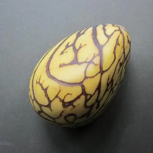 象牙果原籽打磨微黄花皮手把件抛光 厂家直销批发