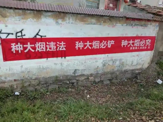 加大禁毒宣传教育力度,利用横幅,标语,宣传禁毒知识