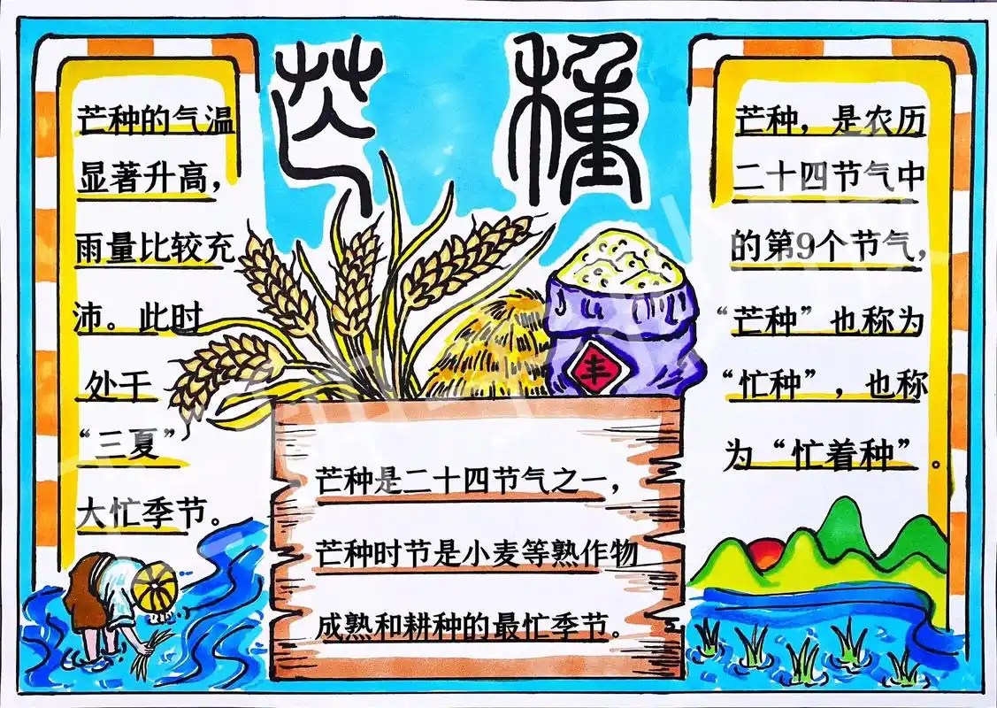芒种手抄报模板 芒种手抄报含文字内容  - 抖音