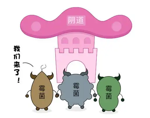 男性在感染念珠菌后具有一定的隐匿性,一般情况下没有症状或症状较轻