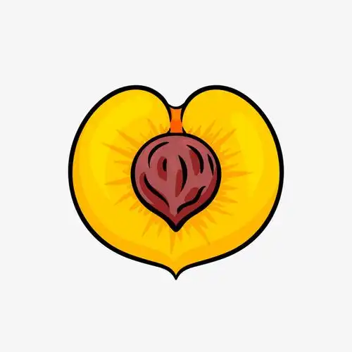 切开的黄桃矢量图