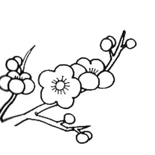 兴趣爱好学画画简笔画《梅花简笔画图片》正文梅花在寒冬