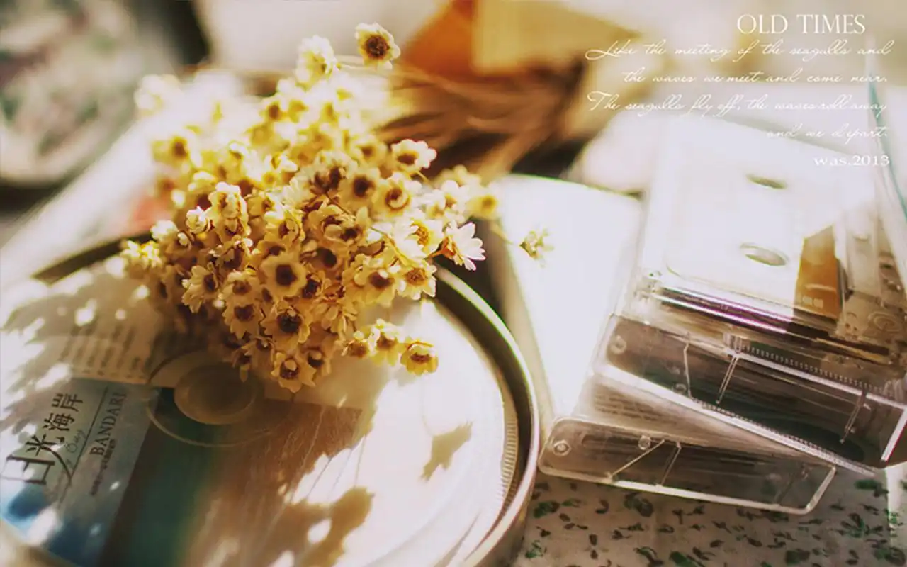 唯美旧时光静物图片桌面壁纸