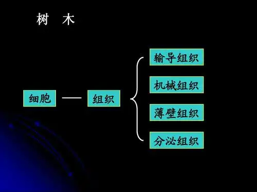 树 木 输导组织 机械组织 细胞 组织 薄壁组织 分泌组织