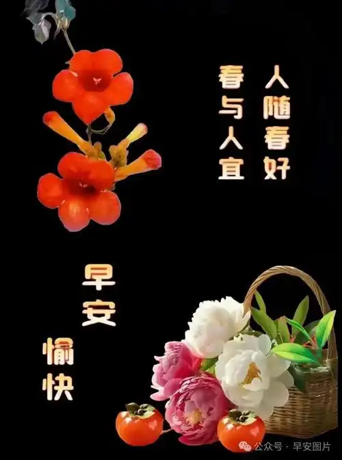 早安今日最新早安祝福语图片大全新版早安问候语